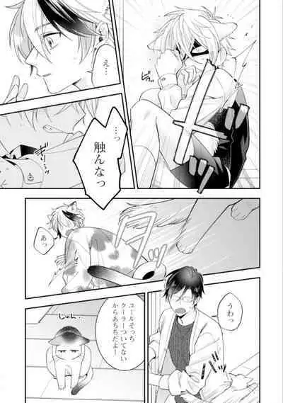 High Spec Danshi ni Natsukareteimasu