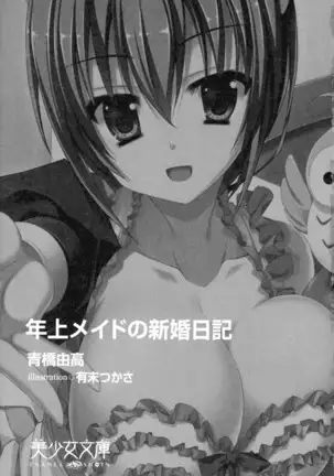 年上メイドの新婚日記