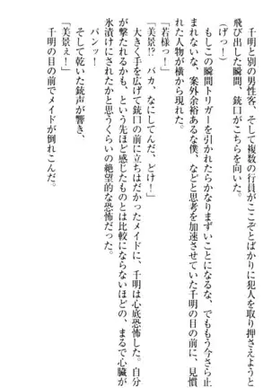 年上メイドの新婚日記