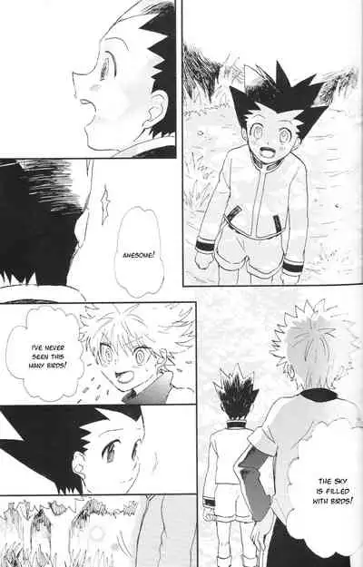 (C86) [Irori (Yui)] Ushiro no Shoumen (Hunter x Hunter) [English] [Willeke4439]