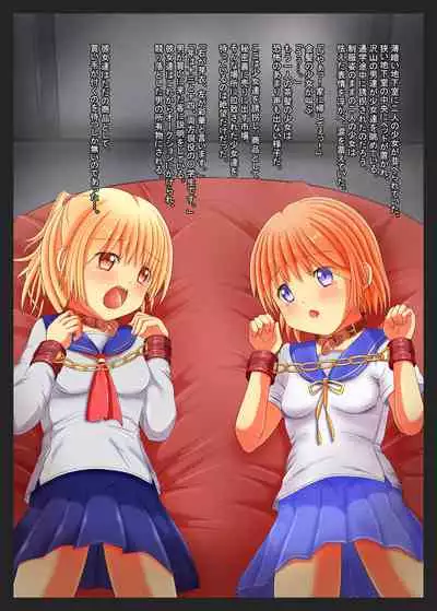 少女のねだん。