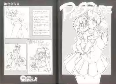 桃色申告書 ver.MILLENNIUM FALCON