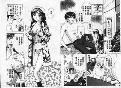 Chousa File H - Investigation File