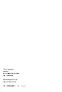 [Yukeyuke Ryuseigo (Yogura Yukiya)] Crazy Sensation (Tales of Vesperia) [English] [Something-or-Other]