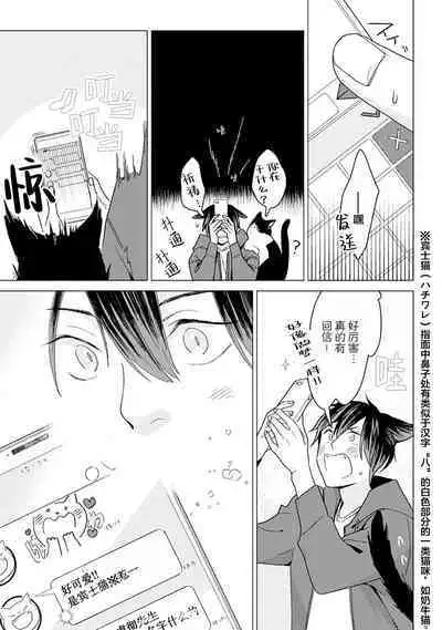 恋爱中的猫咪想被抚摸