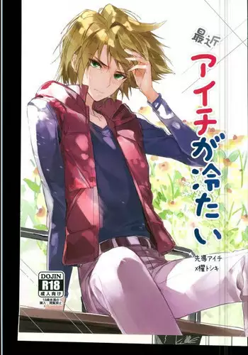 (Stand Up! 12) [Harinezumi Gohan (Akiru)] Saikin Aichi ga Tsumetai (Cardfight!! Vanguard)