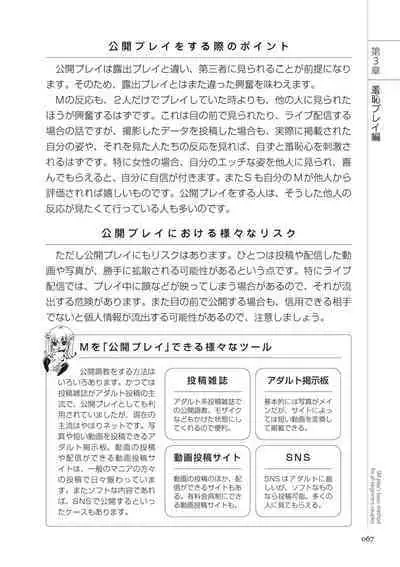 いますぐデキる 図説SMプレイマニュアル