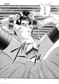 [Kazusa Shima] Cellular Control