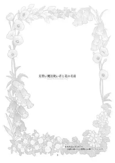 Minarai Mahoutsukai-kun to Hana no Namae