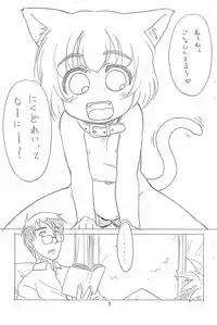 (C65) [T.4.P (Nekogen)] Hina to Yukai na Goshujin-sama.