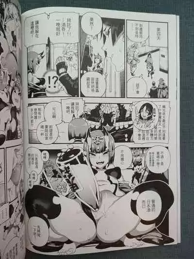 CHALDEA MANIA - Minamoto no Raikou | 迦勒底狂熱．源賴光