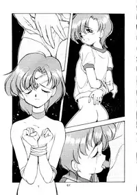 [T2 UNIT, RyuukiSya, Sakura ROC (Various)] LUNATIC ASYLUM (Sailor Moon)