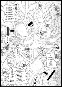 (C74) [POC {Provisional Operations Command}(Hans)] Shokuou [English][Rabbit Reich]