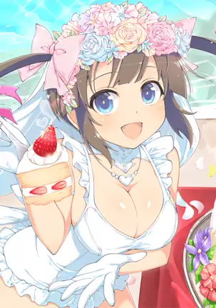 Master Ninja Senran Kagura NEW LINK