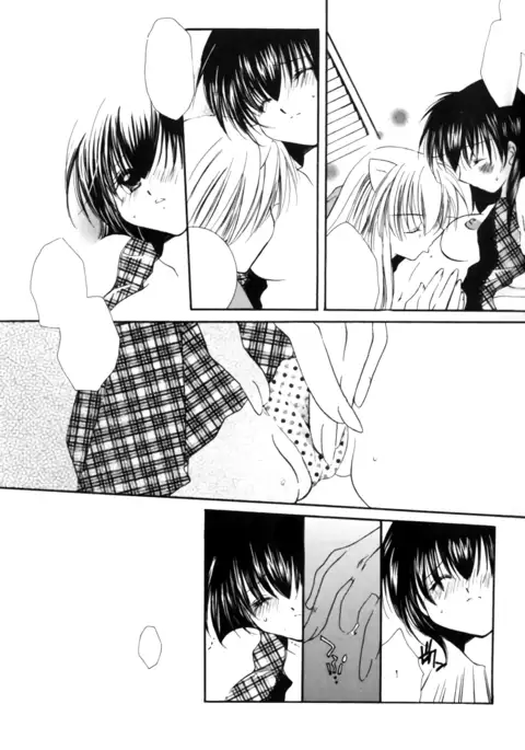 clover clober clover