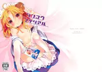 (C84) [Kedama Gyuunyuu (Kedama)] Shinkou Material (Touhou Project)