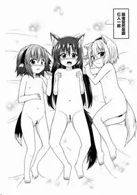 (C88) [Tonzura Douchuu (Kazawa)] Touhou Wanwanwan (Touhou Project) [Chinese] [oo君個人漢化]