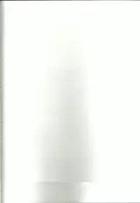 (SUPER20) [CARNELIAN] Suki na Mono o Suki na Dake (Star Driver)