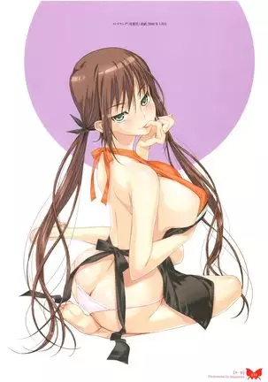 八宝備仁画集 紅蝶（ほてり）