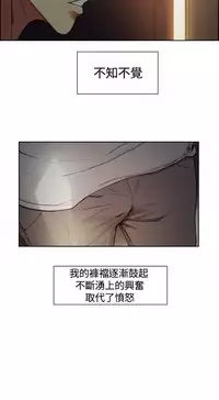 Domesticate the Housekeeper 调教家政妇 ch.1-28 (chinese)