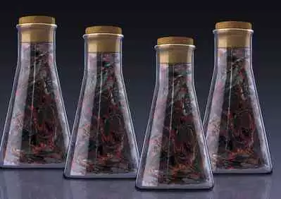 The work of the Insect Detective