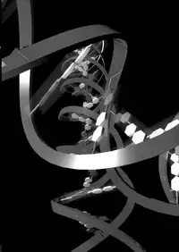 [John K. Pe-ta] Monzetsu Caligula Machine