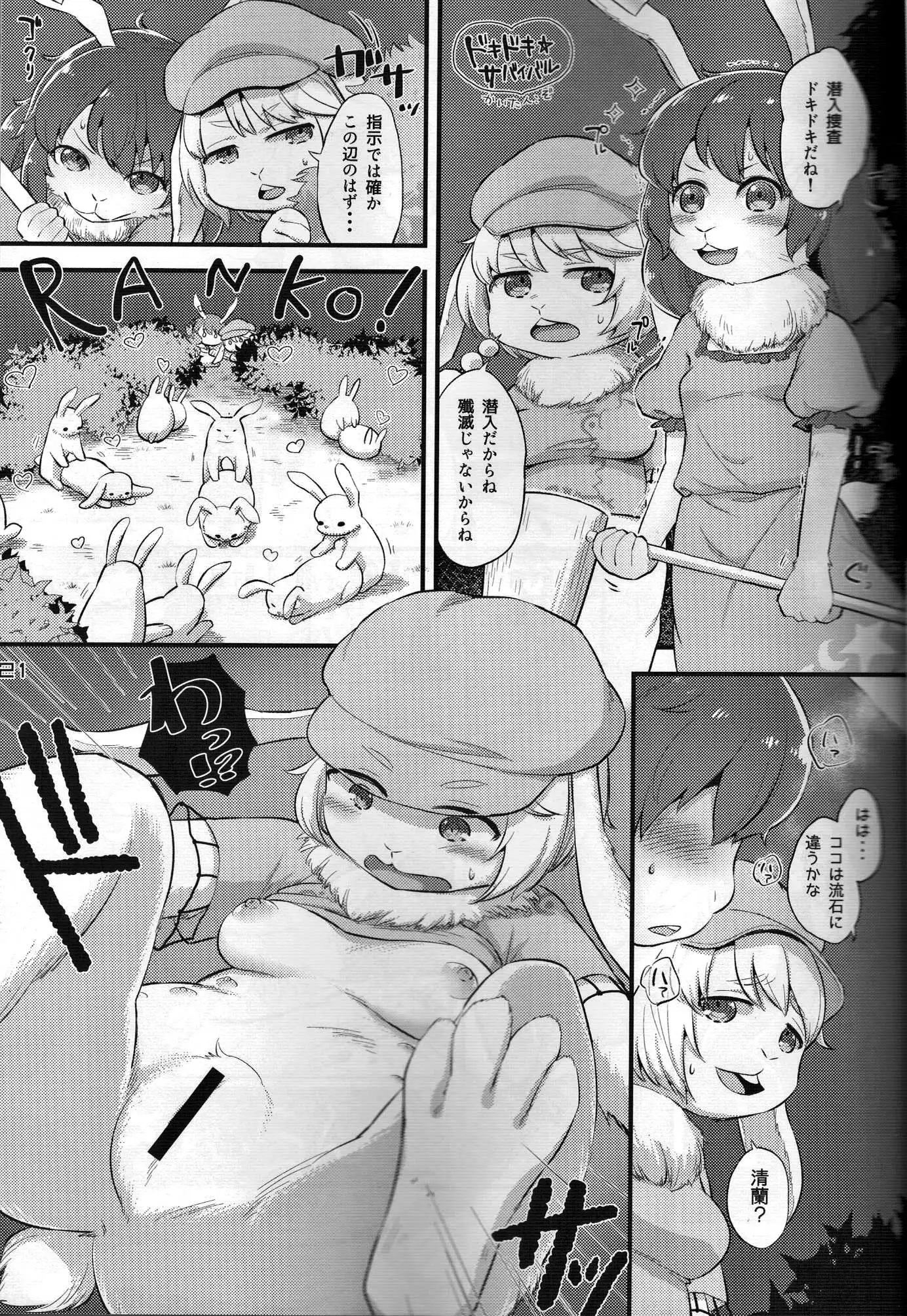 Touhou PLUMFUR FINAL (Touhou Project