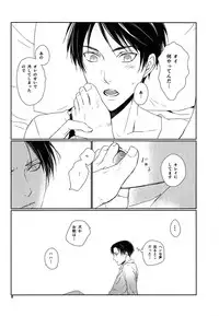 [Quarter Void] Nothing to lose (Shingeki no kyojin)