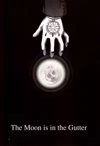 (C71) [DAMNDOG (Takamura Yuki)] The Moon is in the Gutter (Hellsing)