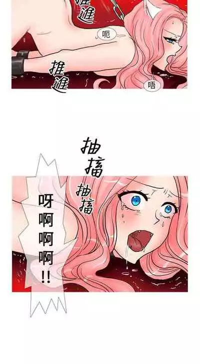 小野貓馴服手冊