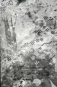 [lucciola (Mikawa Mimi)] The Beasts Party (Vampire Knight)