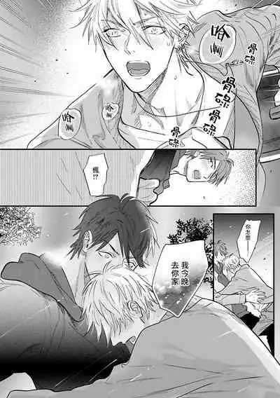 Burlesque Night | 艳舞荒诞夜 1-4