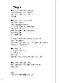 (C81) [roam (stem)] Babaa Demae Suru. (Touhou Project)