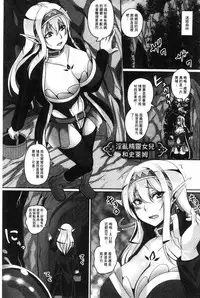 [Kazuhiro] Aijou no Injoku Elf [Chinese]