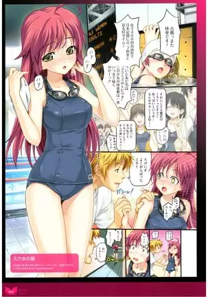 八宝備仁画集 紅蝶（ほてり）