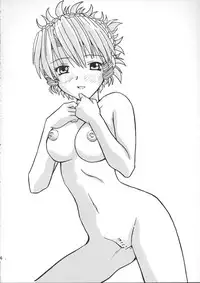 (C68) [FOOLS WORKS (K.AKAGI)] ORIKASA (Scrapped Princess, Vandread)