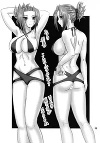 (C93) [Chandora, Lunch Box (Makunouchi Isami)] Harugasumi (Koihime Musou)