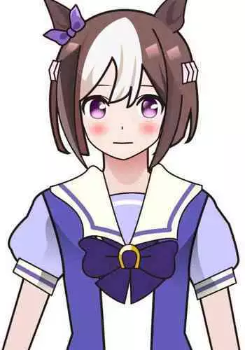 [shochin]Illusts of Umamusume's cosplay girls(http://spaceforadults.network/)