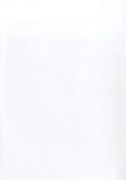 Toroama Rize o Meshiagare 2 ~Hadaka Apron Hen~