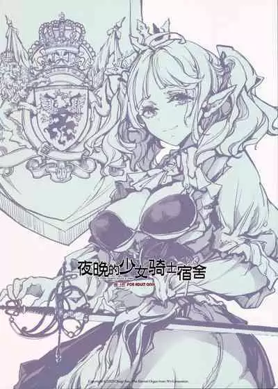 The Virgin Knights secrets at Night | 夜晚的少女骑士宿舍