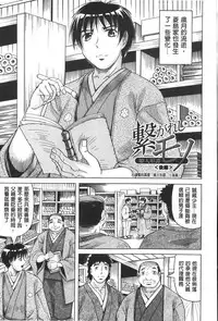 [Jamming] Chigyaku no Mesuhime | 恥虐的牝姫 [Chinese]