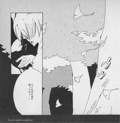 深い森の影から