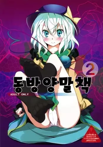 Touhou Kutsushita Bon 2 | 동방양말책2