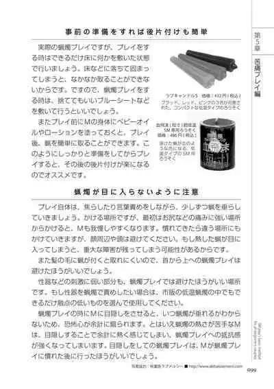 いますぐデキる 図説SMプレイマニュアル