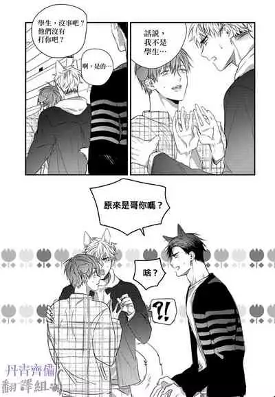 巴夫洛夫的大貓貓 01-14