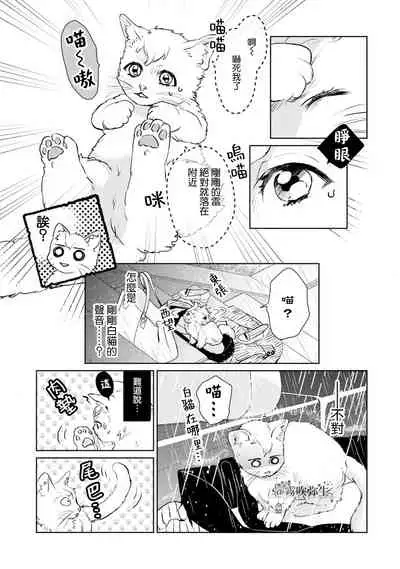 可怕的臭臉君對貓很癡迷