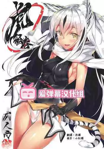 (C96) [Koito Sousakusho (Hinata Mutsuki)] Tora Emaki (Fate/Grand Order) [Chinese] [爱弹幕汉化组]