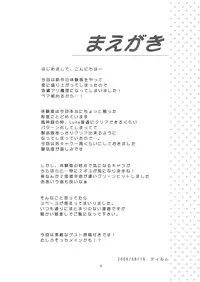 (C74) [Memoria (Tilm)] Alice in Scarlet Mountain (Touhou Project)