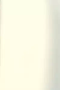 [White Rabbit (Inabai Mari)] ONE (Yu-Gi-Oh!)