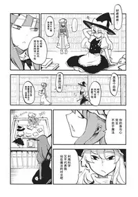 (C80) [Shironegiya (miya9)] Waisetsu Toshokan (Touhou Project) [Chinese] [水土不服汉化组]